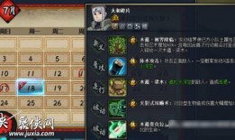 忍者副本爆料攻略最新版,揭秘高效率通关秘籍